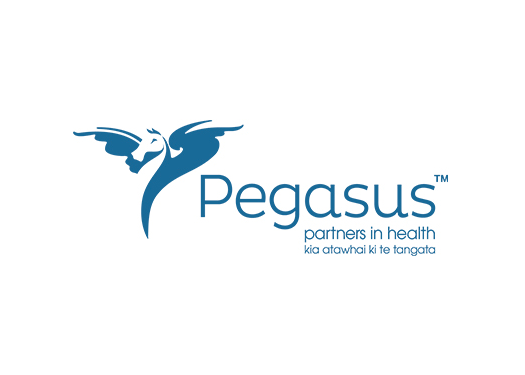 Canterbury’s Culturally and Linguistically Diverse Communities’ Views About Mental Illness (2017) | Pegasus Health (Charitable) Ltd